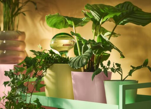 Novità IKEA: portavasi colorati per uno spazio outdoor di tendenza