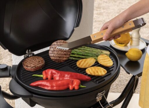 Scopri il catalogo barbecue 2026 di Leroy Merlin