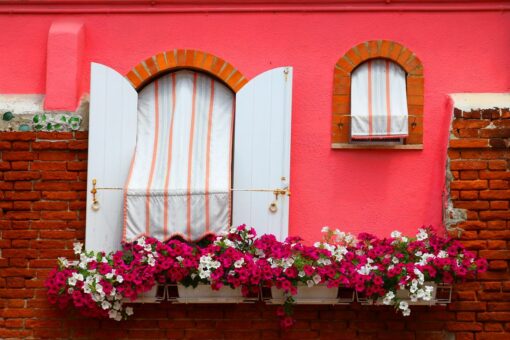 Petunie e surfinie in offerta da OBI: il segreto per un balcone spettacolare