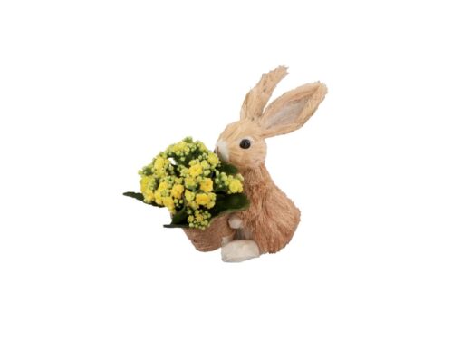 Idee regalo per Pasqua a meno di 10 €: queste piante LIDL fanno davvero la differenza