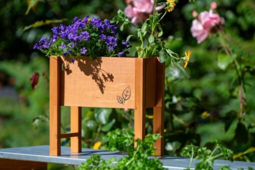 Giardino più bello in pochi gesti: le spalliere e fioriere LIDL che fanno la differenza
