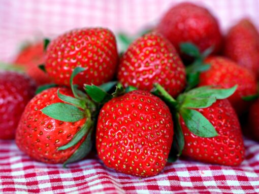Piantine di fragole LIDL a meno di 5 euro: trucchi di coltivazione per farle produrre di più