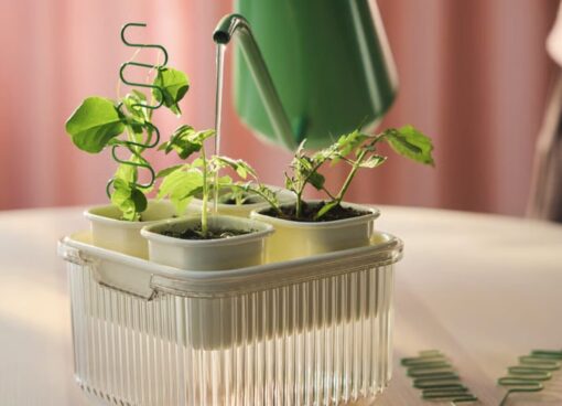 Serre IKEA: soluzioni pratiche per riparare le piante da pioggia e vento