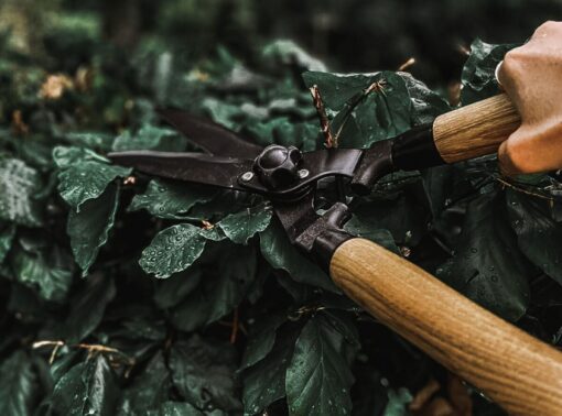Attrezzi da giardino Leroy Merlin: così belli che non li nasconderai