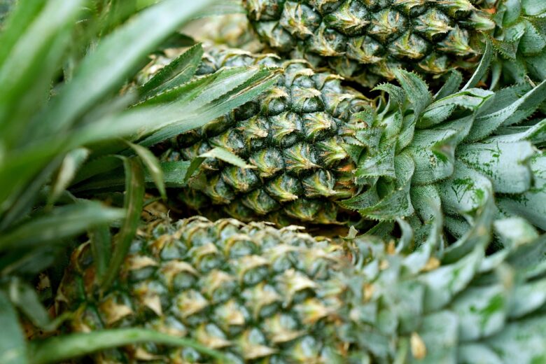 Ananas