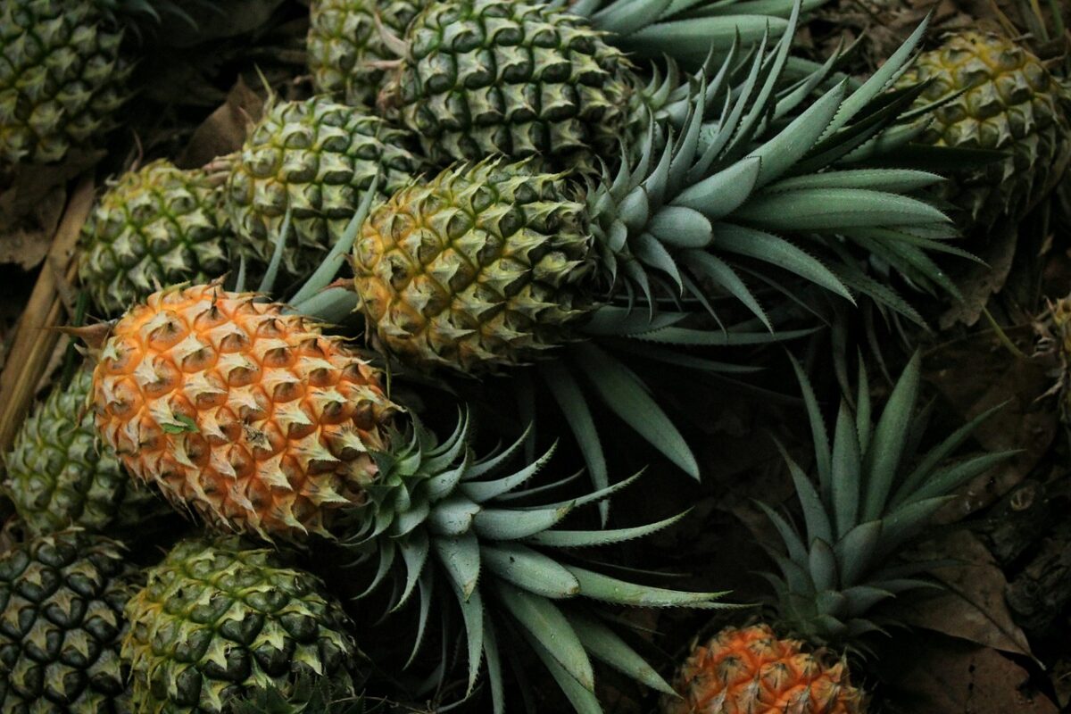 Ananas Ananas