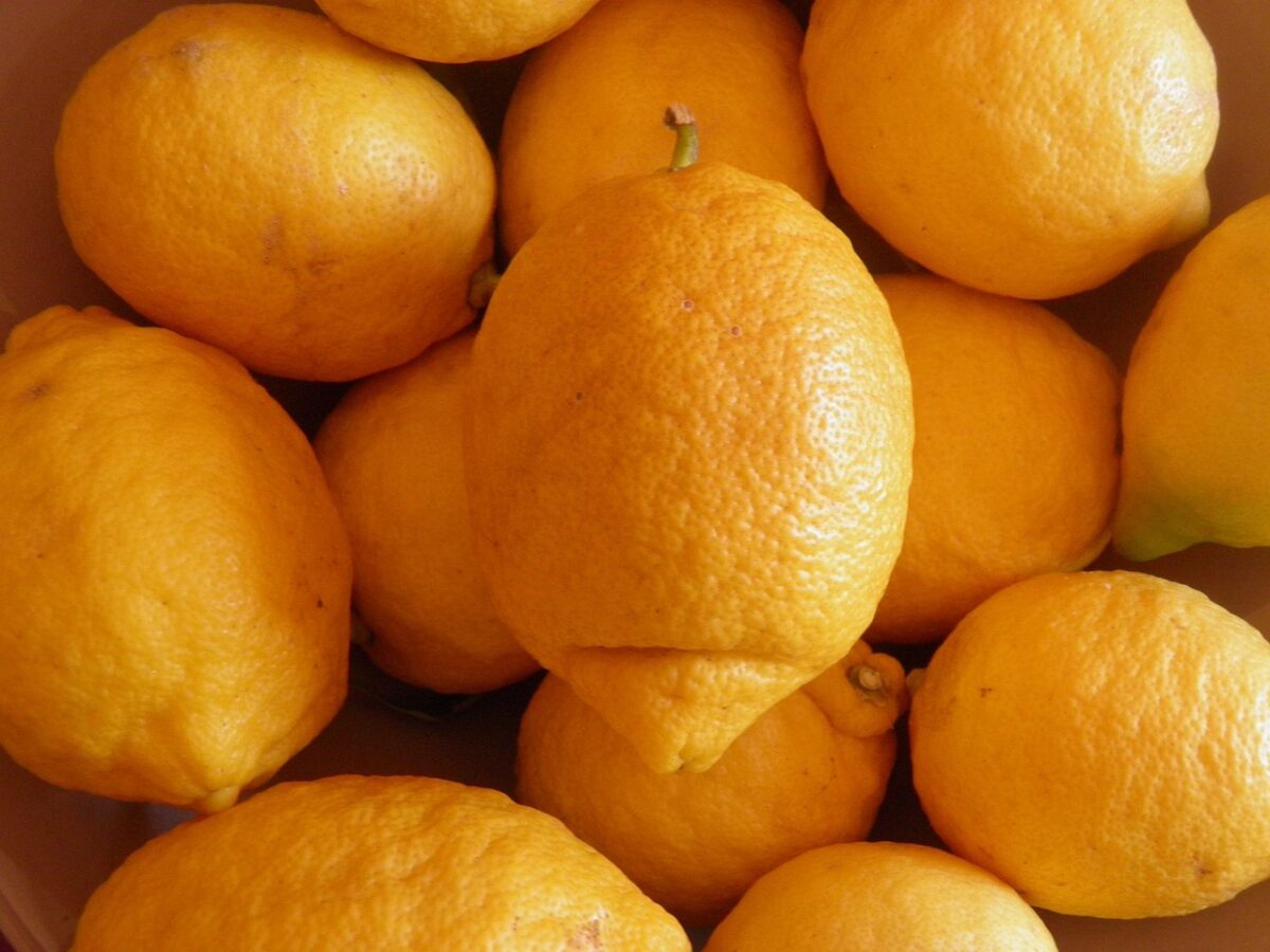 Citrus, Limon Citrus, Limon