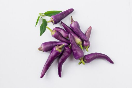 Basilico cannella – Basilico messicano