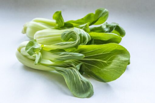 Cavolo cinese – Pak-Choi
