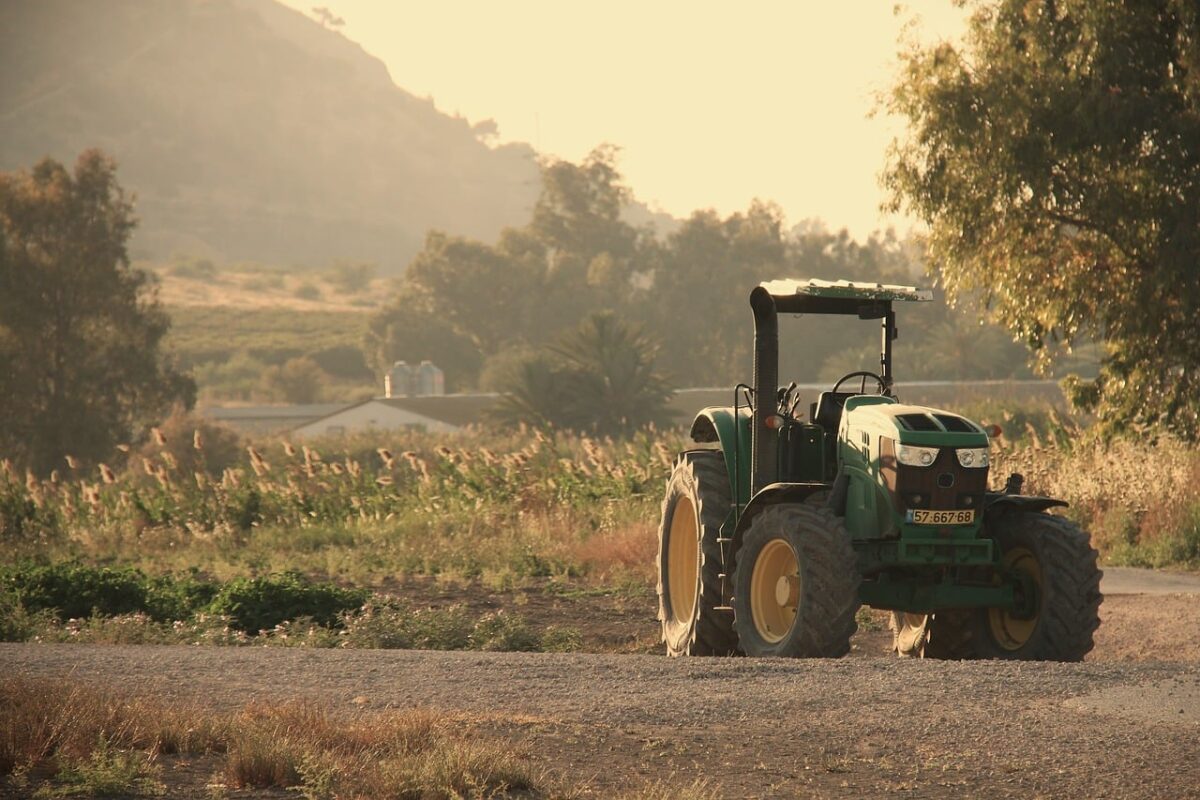 Terreno, Agricolo Terreno, Agricolo