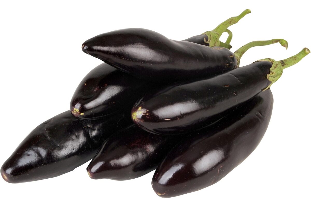 Aubergines Aubergines
