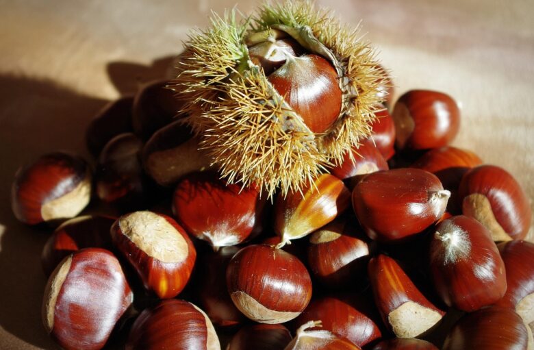 Castagne