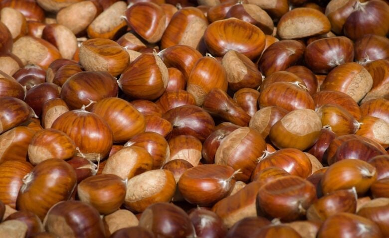 Castagne