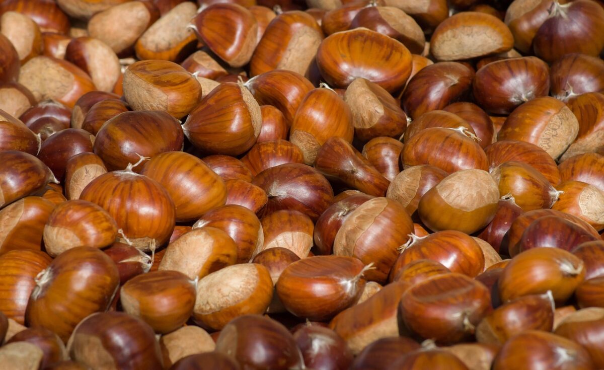 Castagne Castagne