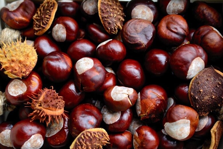 Castagne