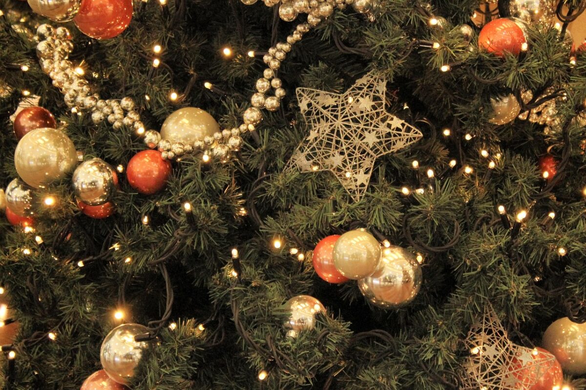 Christmas, Tree Christmas, Tree