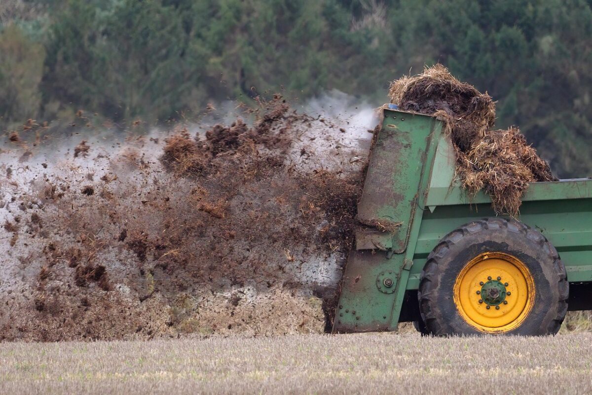 Fertilizzante Fertilizzante