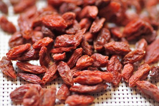 Goji coltivazione