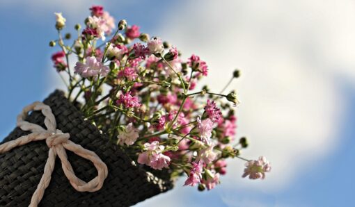 Come conservare i fiori freschi recisi per farli durare più a lungo