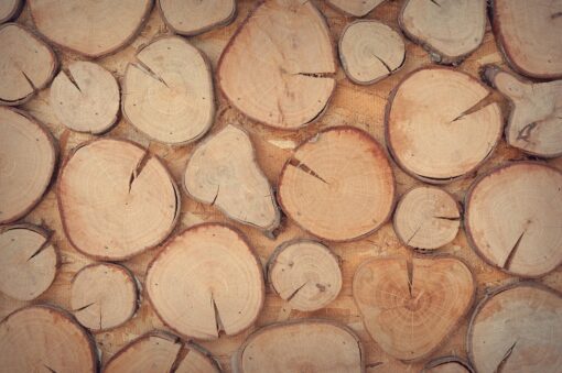 Arredare con i tronchi di legno: 6 favolose idee