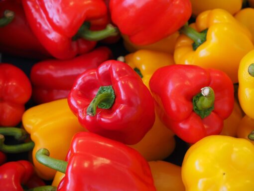 Peperonata Emiliana