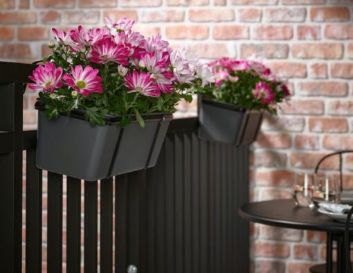 IKEA taglia i prezzi sulle piante: casa e balcone cambiano con pochi euro