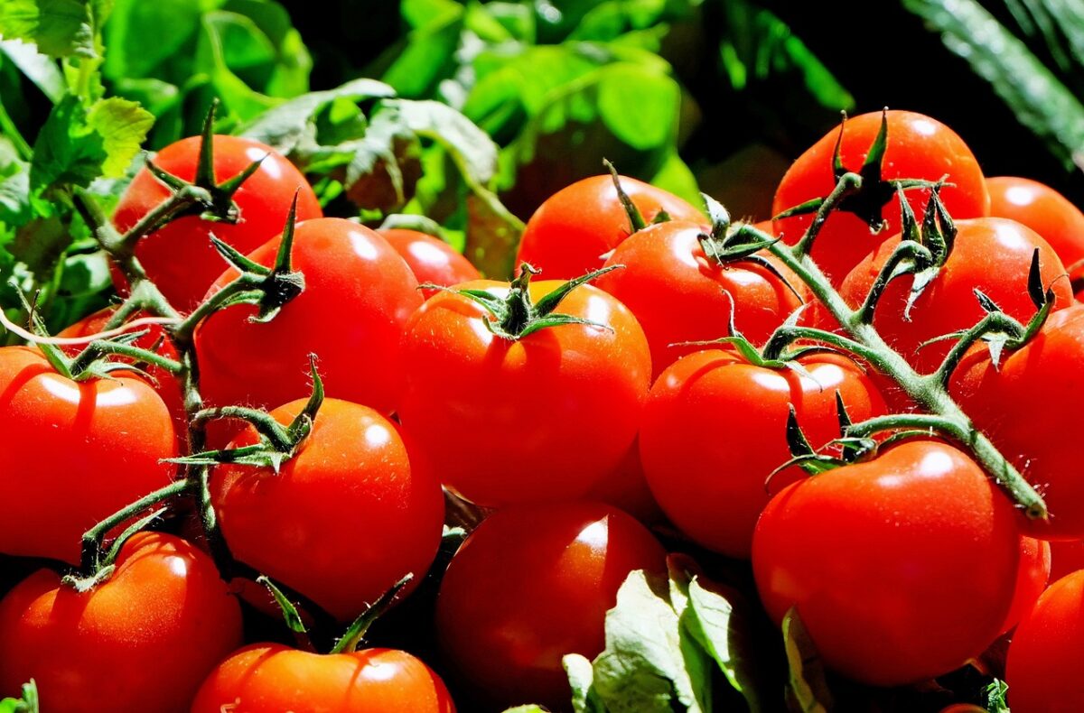 Pomodori Pomodori