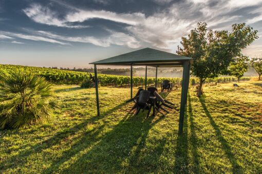 Abbellire un gazebo