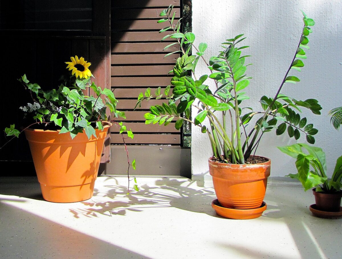 Arredare, Balcone Arredare, Balcone