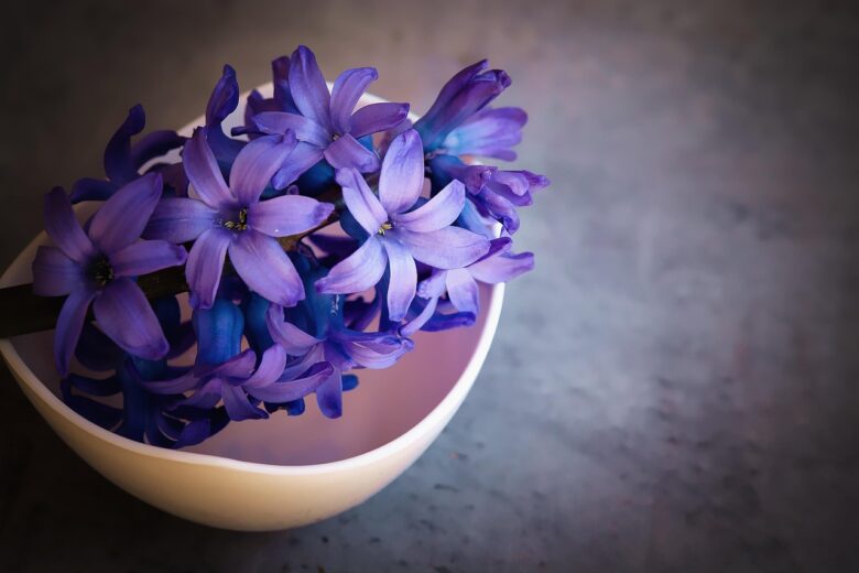 Fiori