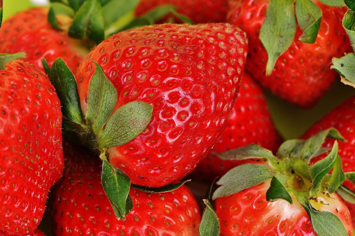 Fragole Fragole