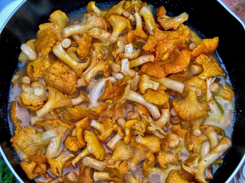 Funghi, E