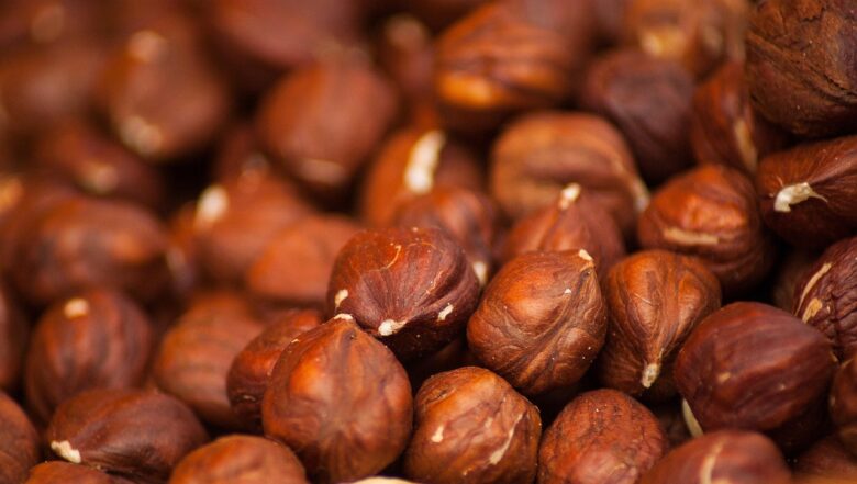 Noccioli