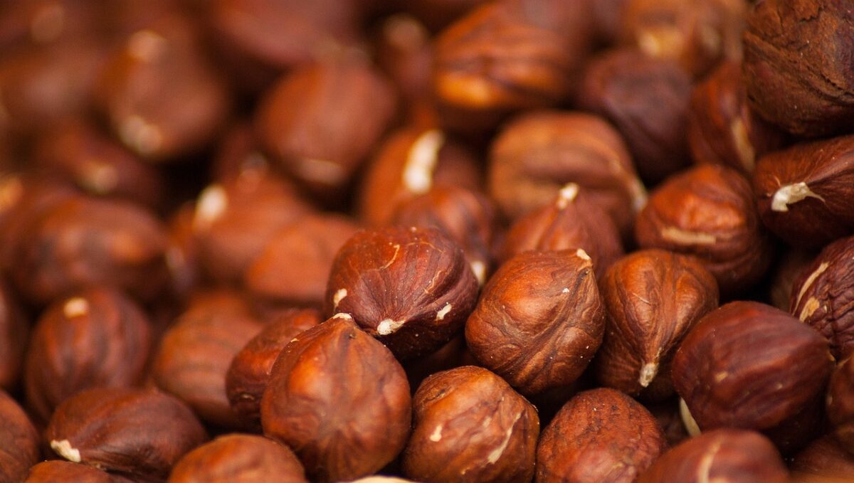 Noccioli Noccioli