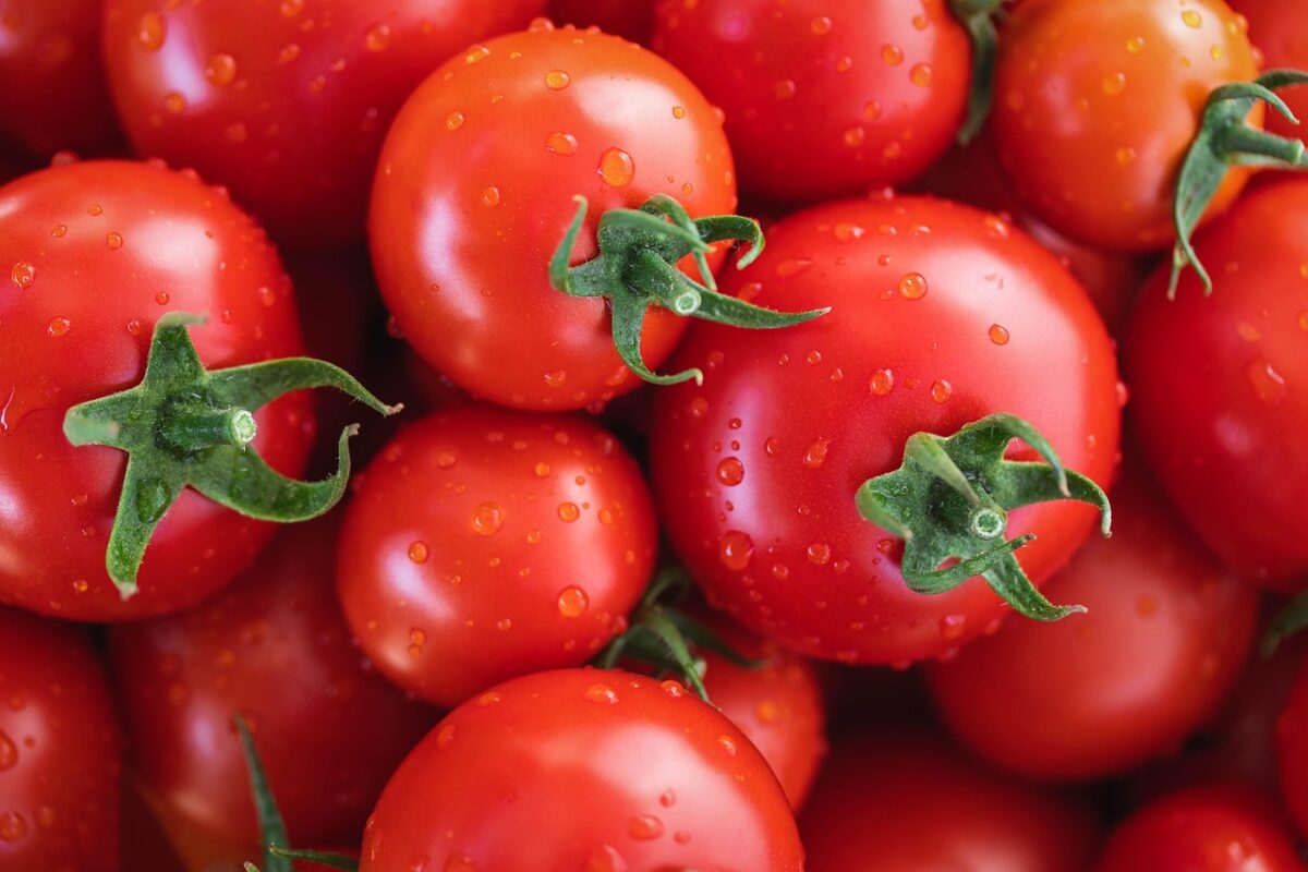 Pomodori Pomodori