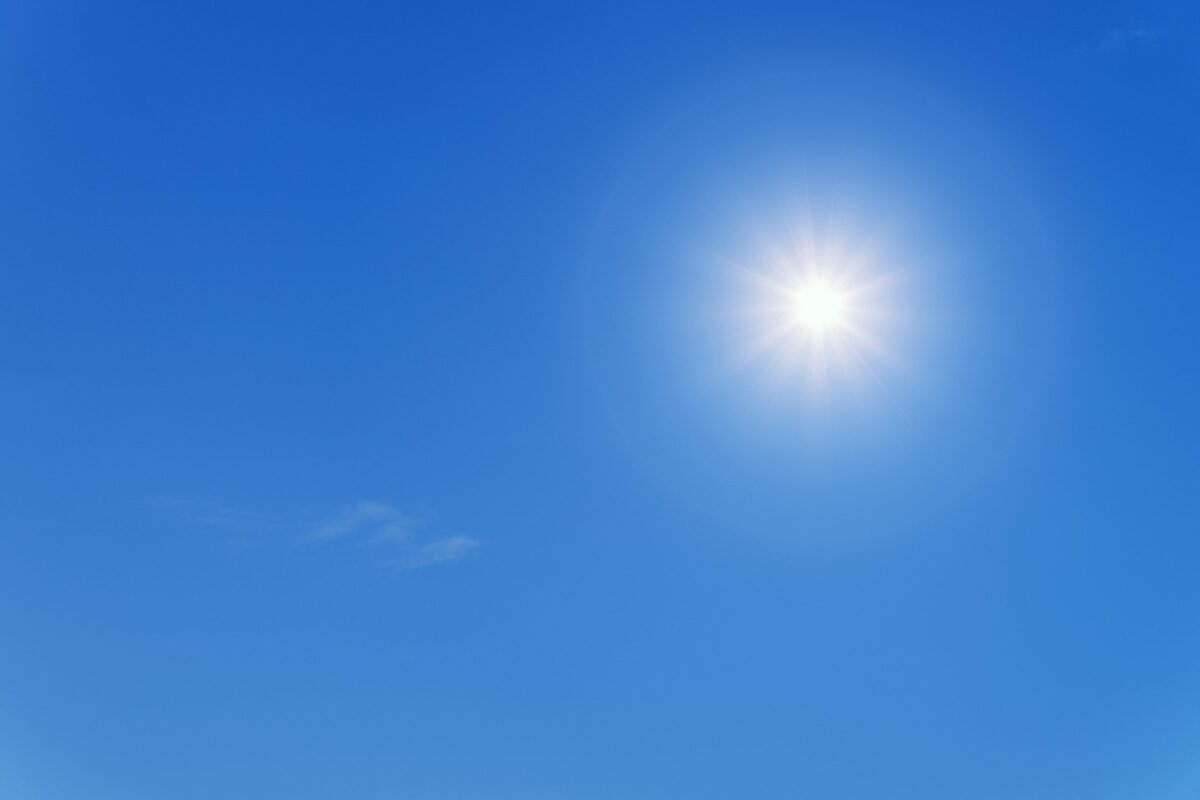 Sole Sole