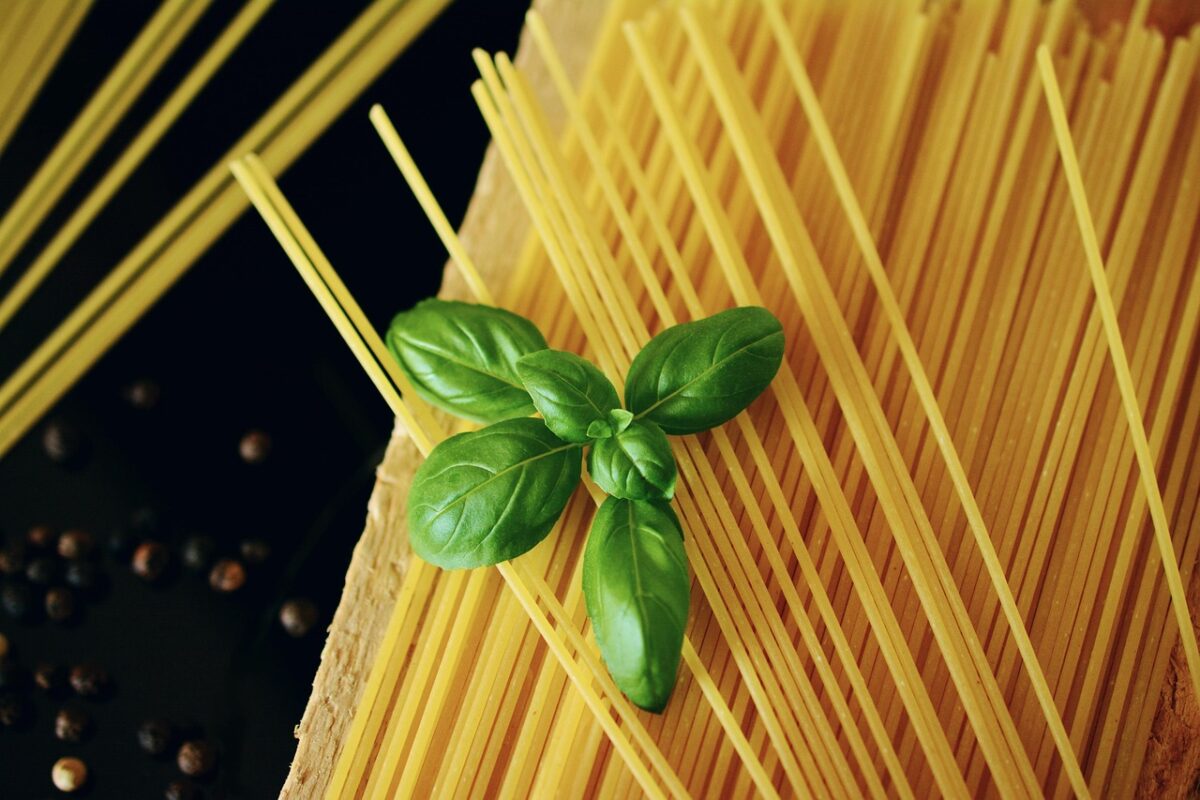 Spaghetti Spaghetti
