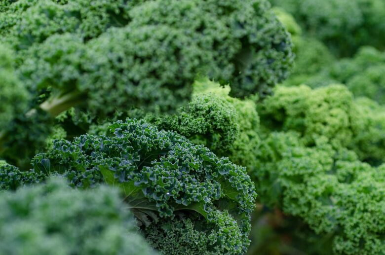 Verdure,