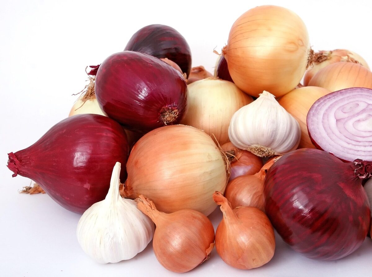 Cipolle Cipolle