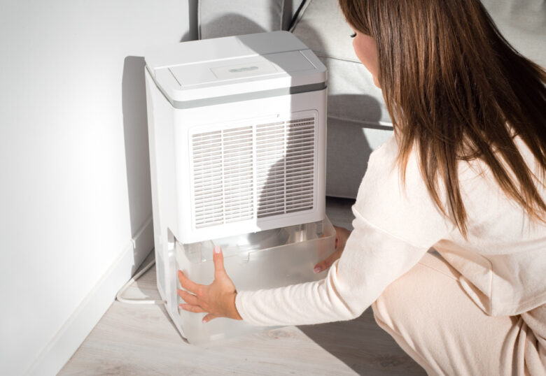 Woman,Changing,Water,Container,In,Air,Dryer,,Dehumidifier,,Humidity,Indicator.