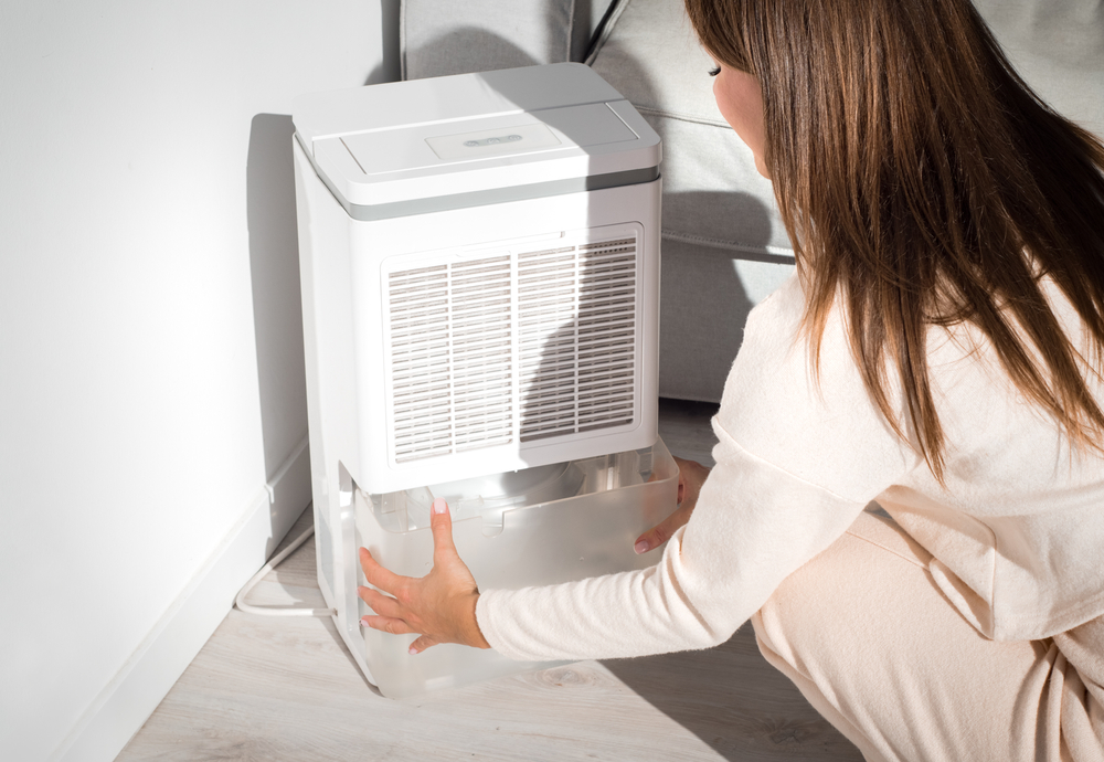Woman,Changing,Water,Container,In,Air,Dryer,,Dehumidifier,,Humidity,Indicator.