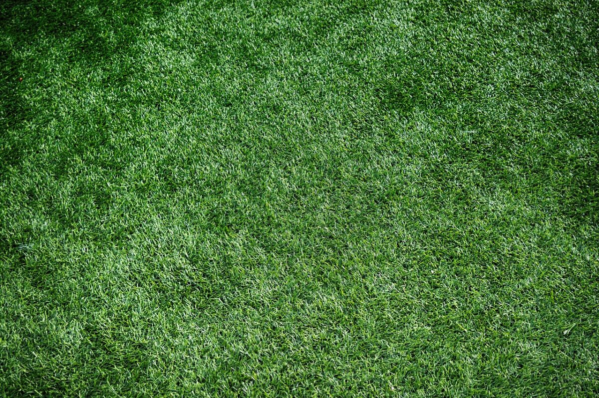 Erba, Sintetica Erba, Sintetica