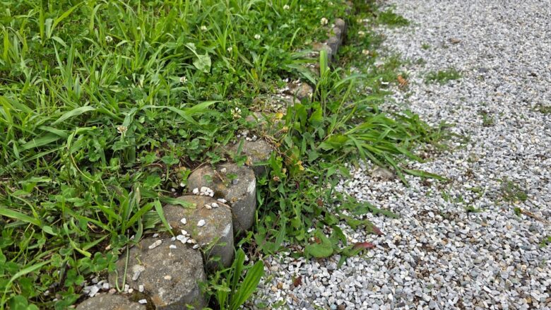 Curved,Stone,Garden,Border,Separates,A,Patch,Of,Green,Grass