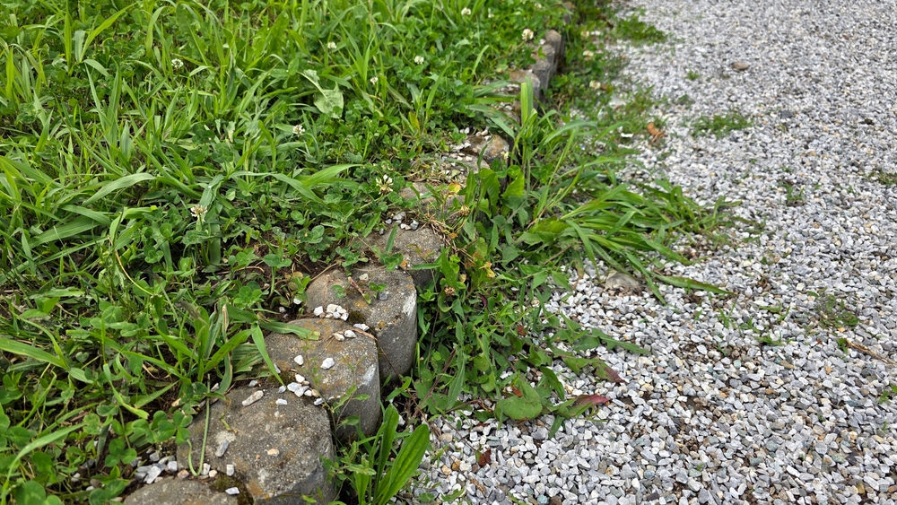 Curved,Stone,Garden,Border,Separates,A,Patch,Of,Green,Grass