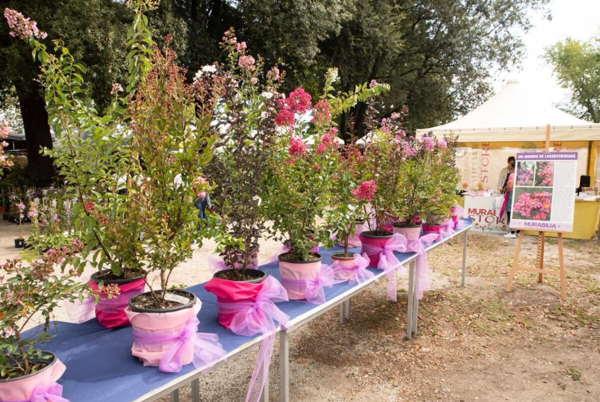 Murabilia – Mostra mercato del giardinaggio di qualità: date, info, biglietti