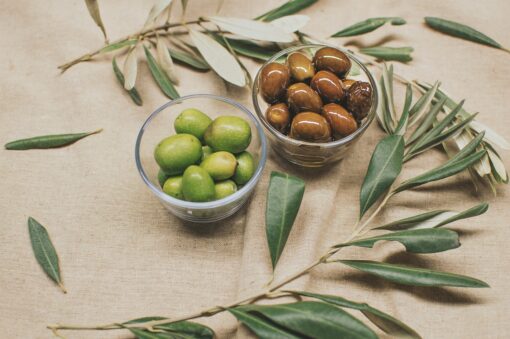 Olive e aghi di pino: così Barcellona abbatte le emissioni di CO2
