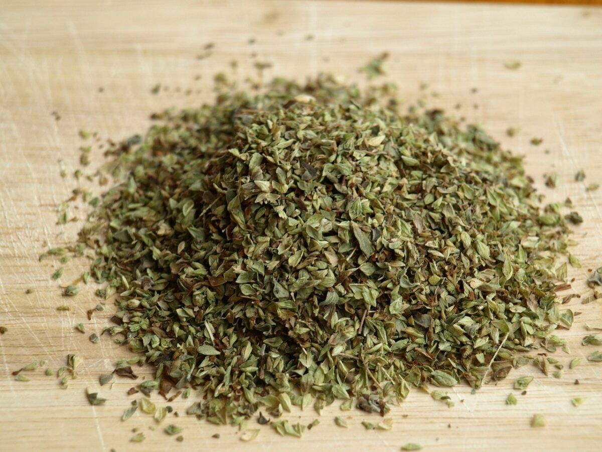 Origano Origano