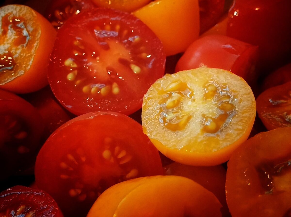 Pomodorini Pomodorini