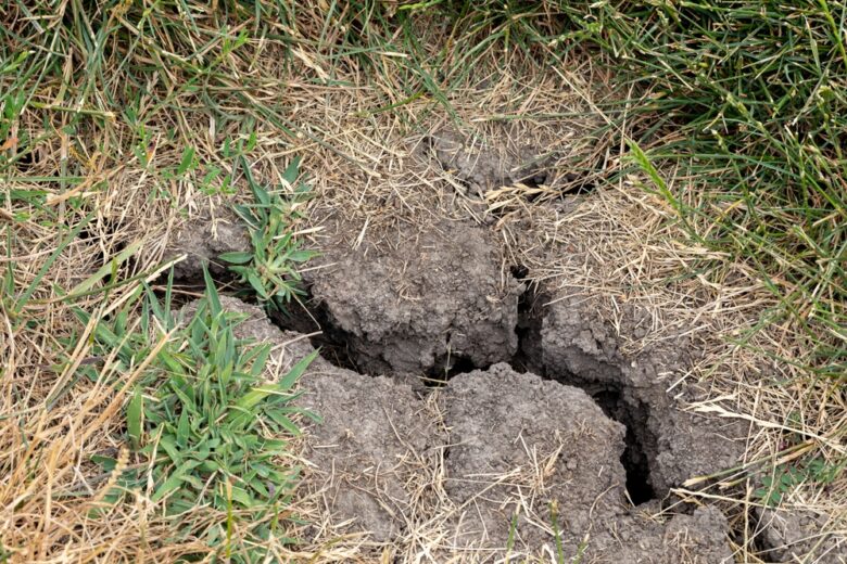 Dead,Spot,In,Lawn,With,Ground,Cracking.,Drought,,Water,Conservation,