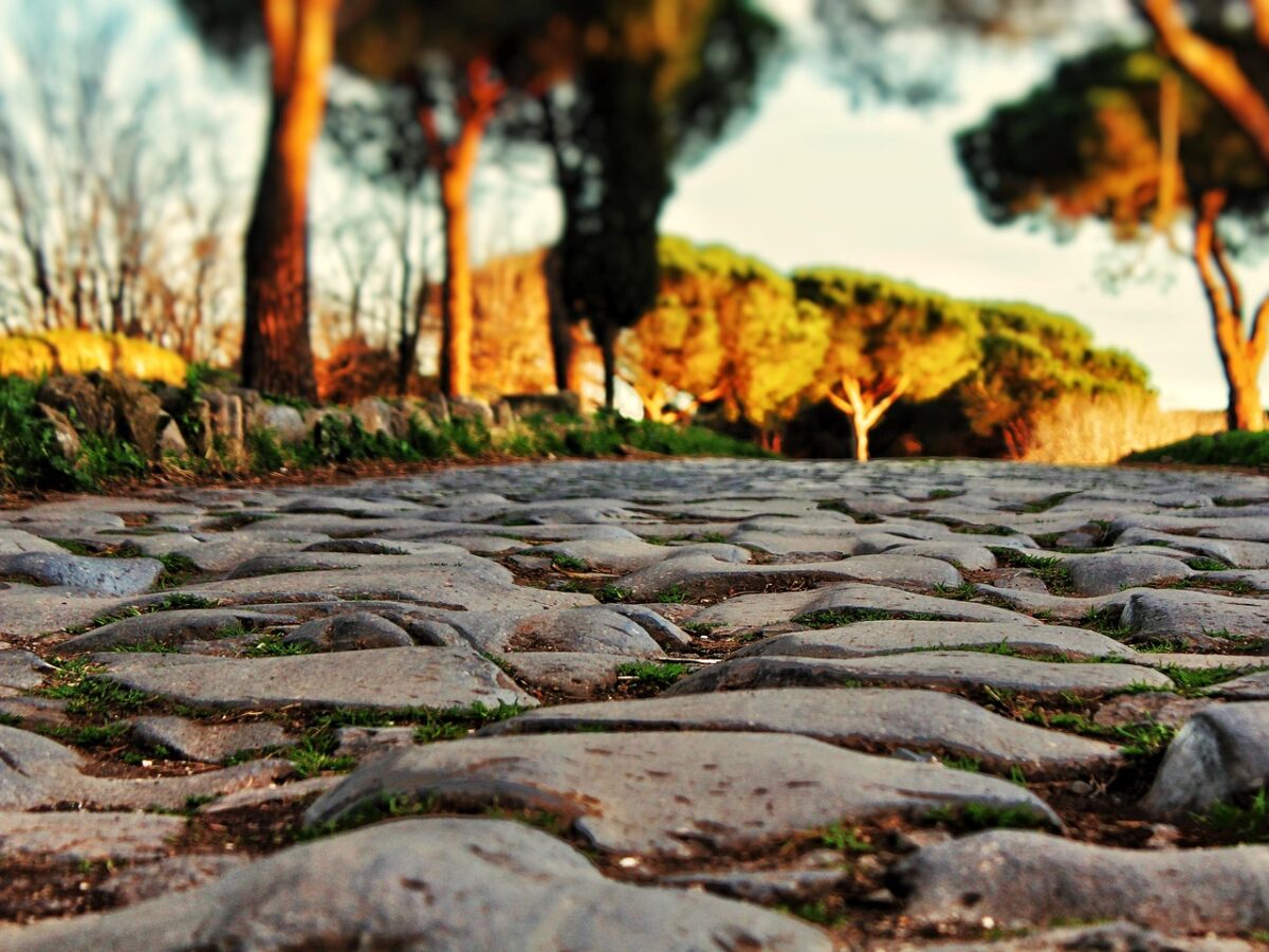 Roma è sempre più tropicale: Legambiente lancia l’allarme